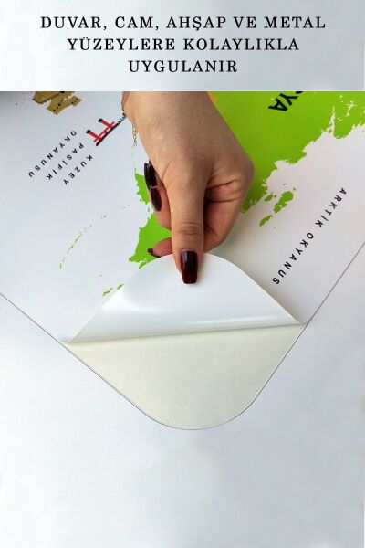 Eğitici Dünya Haritası Dünya Atlası Çocuk Ve Bebek Odası Duvar Sticker Karışık